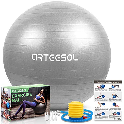 arteesol Fitness Ball, Anti-burst Pilates Ball 45cm/55cm/65cm/75cm/85cm Pelota de ejercicio con bomba rápida para Fitness Yoga y Pilates